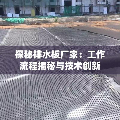 探秘排水板厂家：工作流程揭秘与技术创新