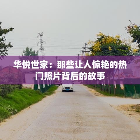 华悦世家：那些让人惊艳的热门照片背后的故事