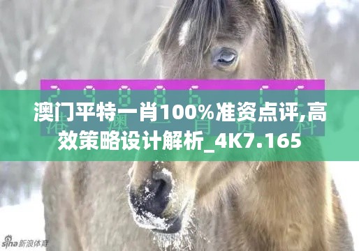 澳门平特一肖100%准资点评,高效策略设计解析_4K7.165