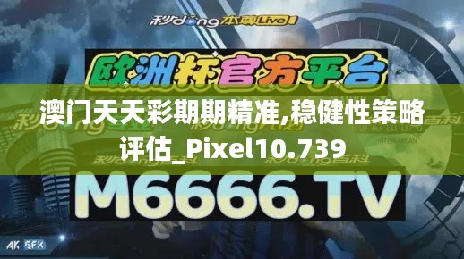 澳门天天彩期期精准,稳健性策略评估_Pixel10.739