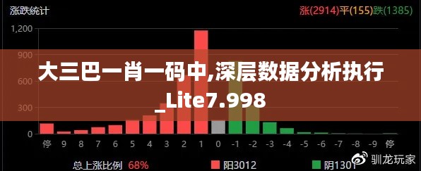 大三巴一肖一码中,深层数据分析执行_Lite7.998