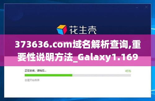 373636.com域名解析查询,重要性说明方法_Galaxy1.169