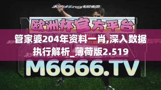 管家婆204年资料一肖,深入数据执行解析_薄荷版2.519