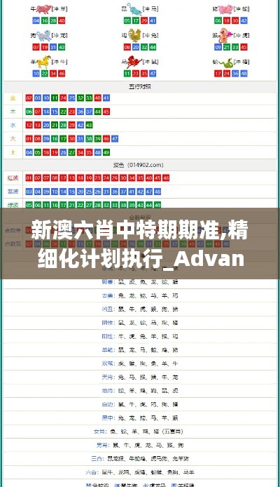 新澳六肖中特期期准,精细化计划执行_Advance19.521