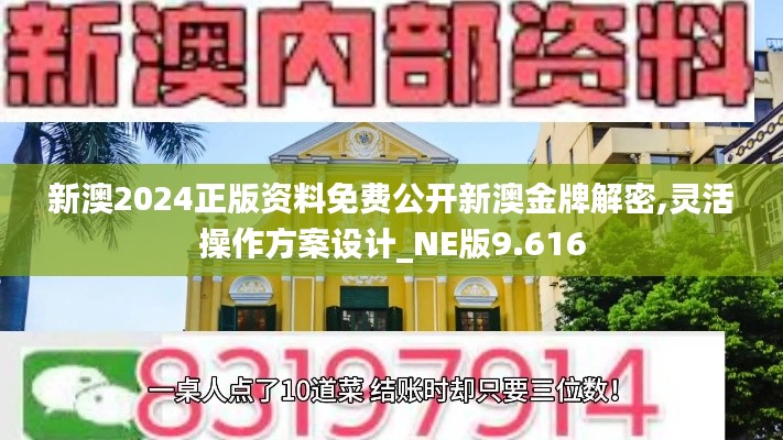 新澳2024正版资料免费公开新澳金牌解密,灵活操作方案设计_NE版9.616