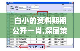 白小的资料期期公开一肖,深层策略执行数据_尊享款7.373