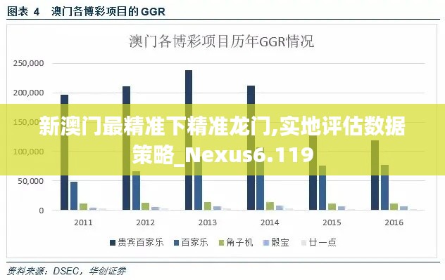 新澳门最精准下精准龙门,实地评估数据策略_Nexus6.119