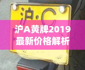 沪A黄牌2019最新价格解析与市场动态