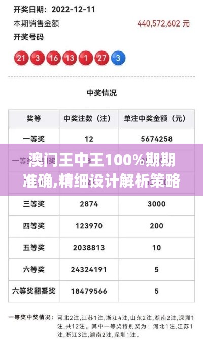 澳门王中王100%期期准确,精细设计解析策略_轻量版7.202