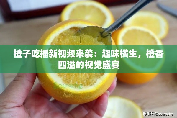 橙子吃播新视频来袭：趣味横生，橙香四溢的视觉盛宴