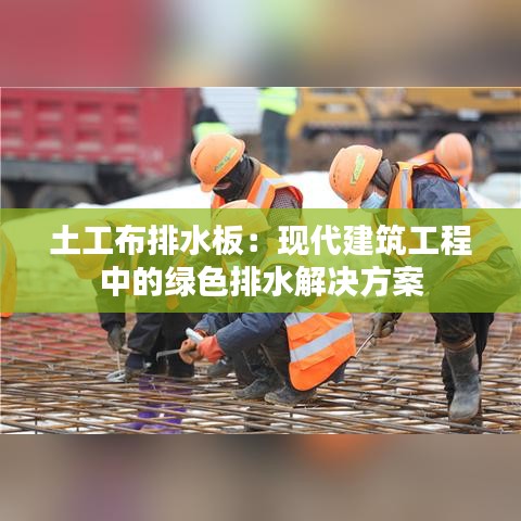 土工布排水板：现代建筑工程中的绿色排水解决方案