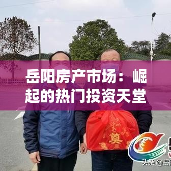 岳阳房产市场：崛起的热门投资天堂