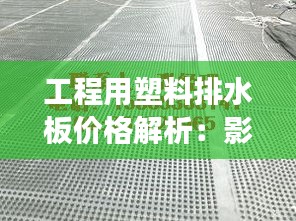 工程用塑料排水板价格解析：影响因素与市场行情