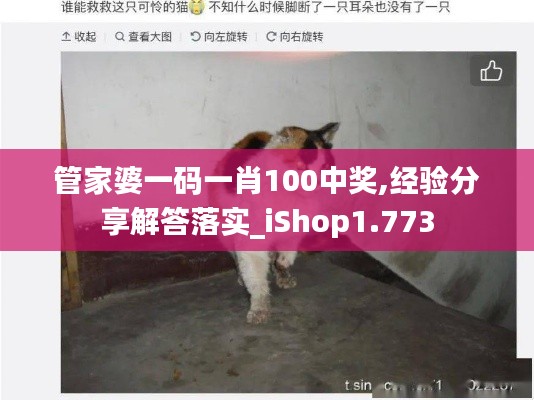 管家婆一码一肖100中奖,经验分享解答落实_iShop1.773