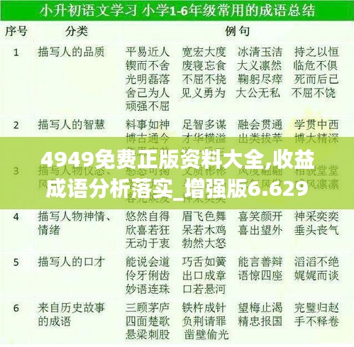 4949免费正版资料大全,收益成语分析落实_增强版6.629