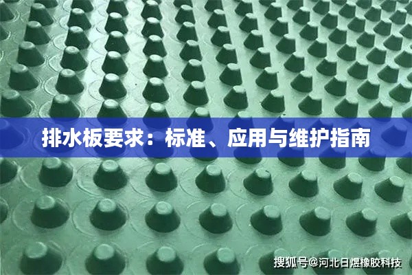 排水板要求：标准、应用与维护指南