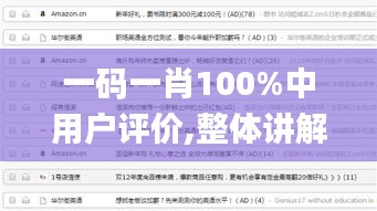 一码一肖100%中用户评价,整体讲解执行_铂金版4.232