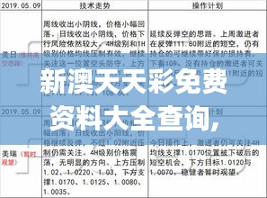 新澳天天彩免费资料大全查询,深度评估解析说明_黄金版4.527