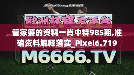 管家婆的资料一肖中特985期,准确资料解释落实_Pixel6.719