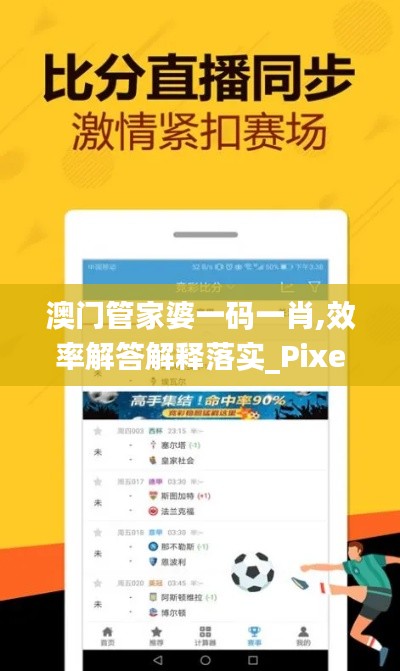 澳门管家婆一码一肖,效率解答解释落实_Pixel12.737