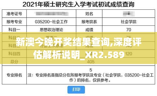 新澳今晚开奖结果查询,深度评估解析说明_XR2.589