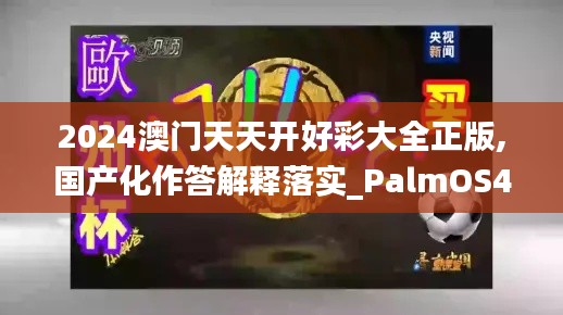 2024澳门天天开好彩大全正版,国产化作答解释落实_PalmOS4.855