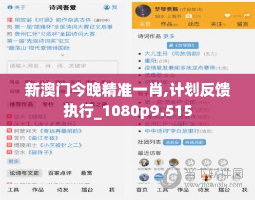 新澳门今晚精准一肖,计划反馈执行_1080p9.515