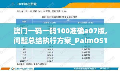 澳门一码一码100准确a07版,问题总结执行方案_PalmOS16.633