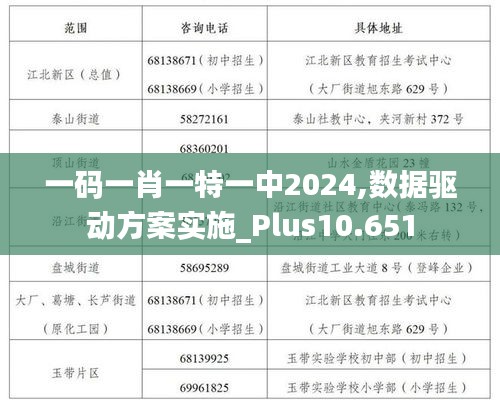 一码一肖一特一中2024,数据驱动方案实施_Plus10.651