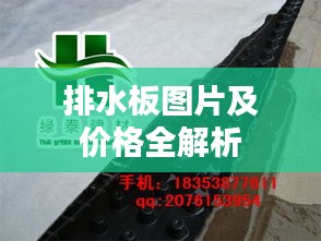 排水板图片及价格全解析