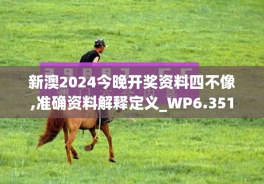 新澳2024今晚开奖资料四不像,准确资料解释定义_WP6.351