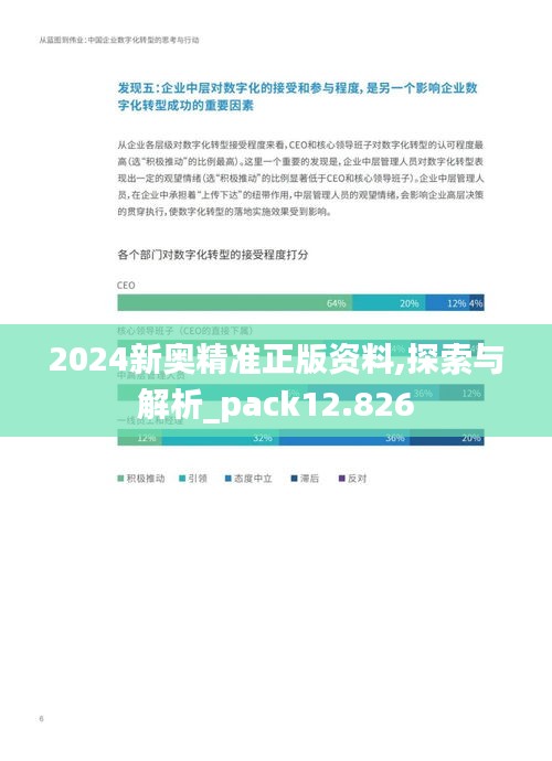 2024新奥精准正版资料,探索与解析_pack12.826