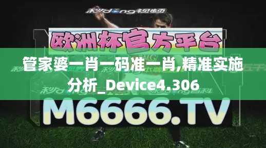 管家婆一肖一码准一肖,精准实施分析_Device4.306