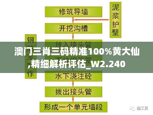 澳门三肖三码精准100%黄大仙,精细解析评估_W2.240