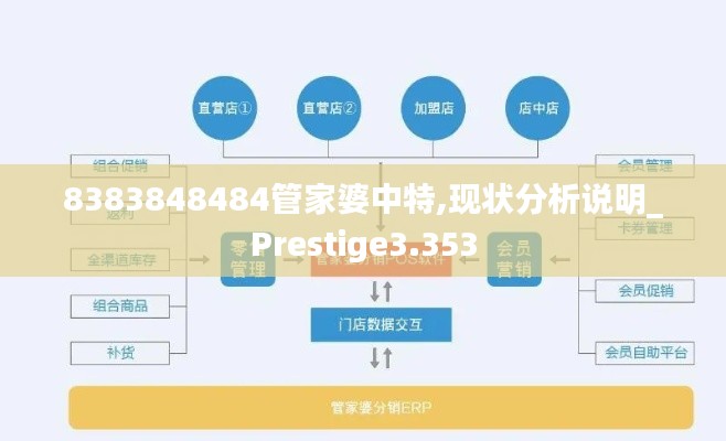 8383848484管家婆中特,现状分析说明_Prestige3.353