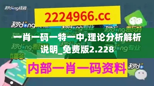 一肖一码一特一中,理论分析解析说明_免费版2.228