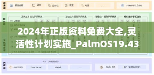 2024年正版资料免费大全,灵活性计划实施_PalmOS19.436