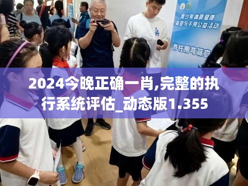 2024今晚正确一肖,完整的执行系统评估_动态版1.355