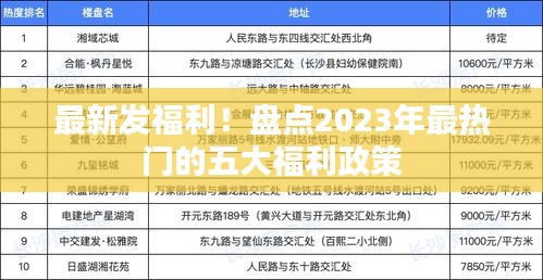 最新发福利！盘点2023年最热门的五大福利政策