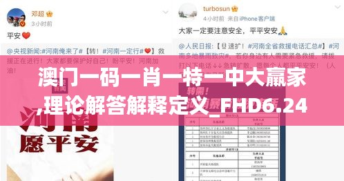 澳门一码一肖一特一中大羸家,理论解答解释定义_FHD6.245