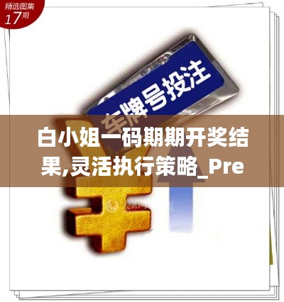 白小姐一码期期开奖结果,灵活执行策略_Premium6.164