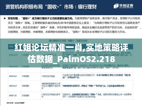 红姐论坛精准一肖,实地策略评估数据_PalmOS2.218