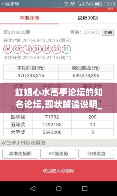 红姐心水高手论坛的知名论坛,现状解读说明_开发版1.590