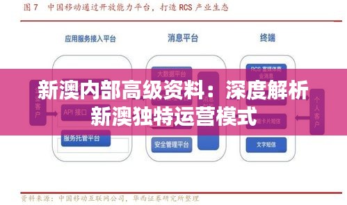 新澳内部高级资料：深度解析新澳独特运营模式