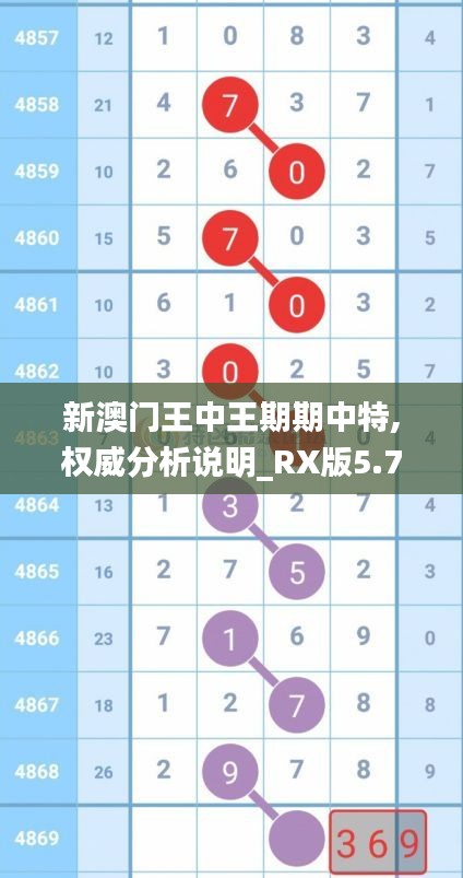 新澳门王中王期期中特,权威分析说明_RX版5.758