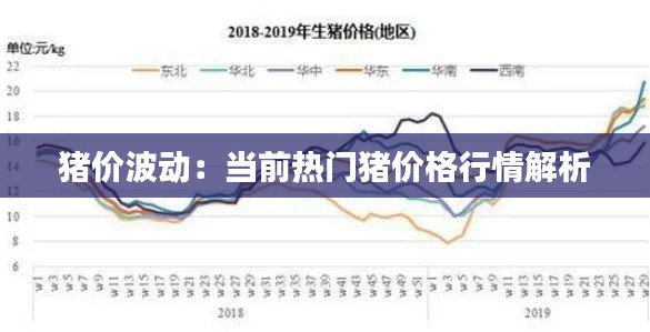 猪价波动：当前热门猪价格行情解析