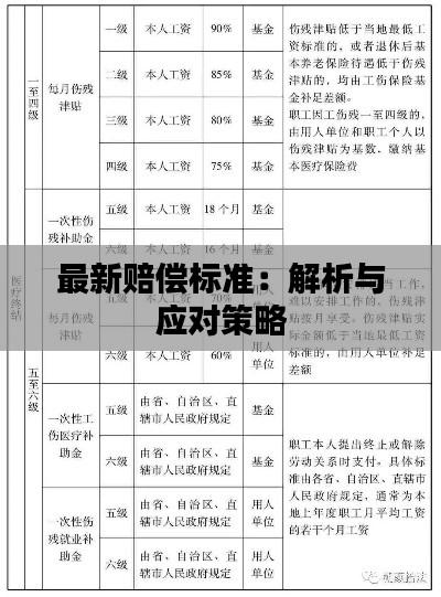 最新赔偿标准：解析与应对策略