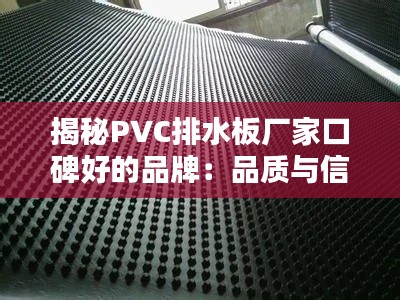 揭秘PVC排水板厂家口碑好的品牌：品质与信誉的典范