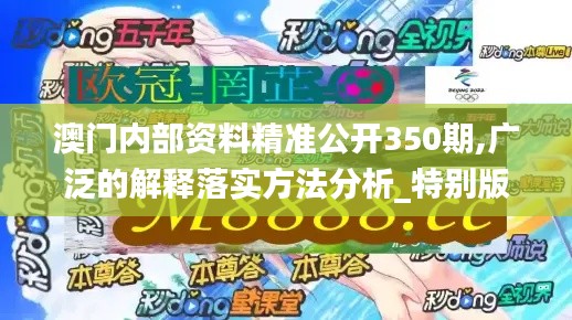 澳门内部资料精准公开350期,广泛的解释落实方法分析_特别版3.807