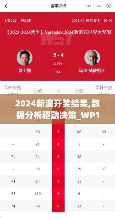 2024新澳开奖结果,数据分析驱动决策_WP11.811